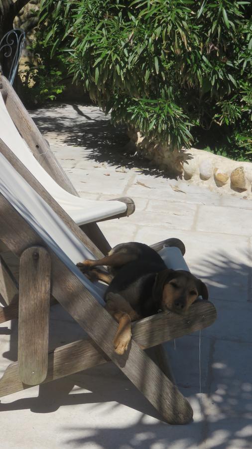 A La Belle Histoire Bed & Breakfast 3*
