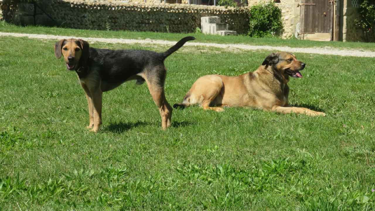 A La Belle Histoire Bed & Breakfast